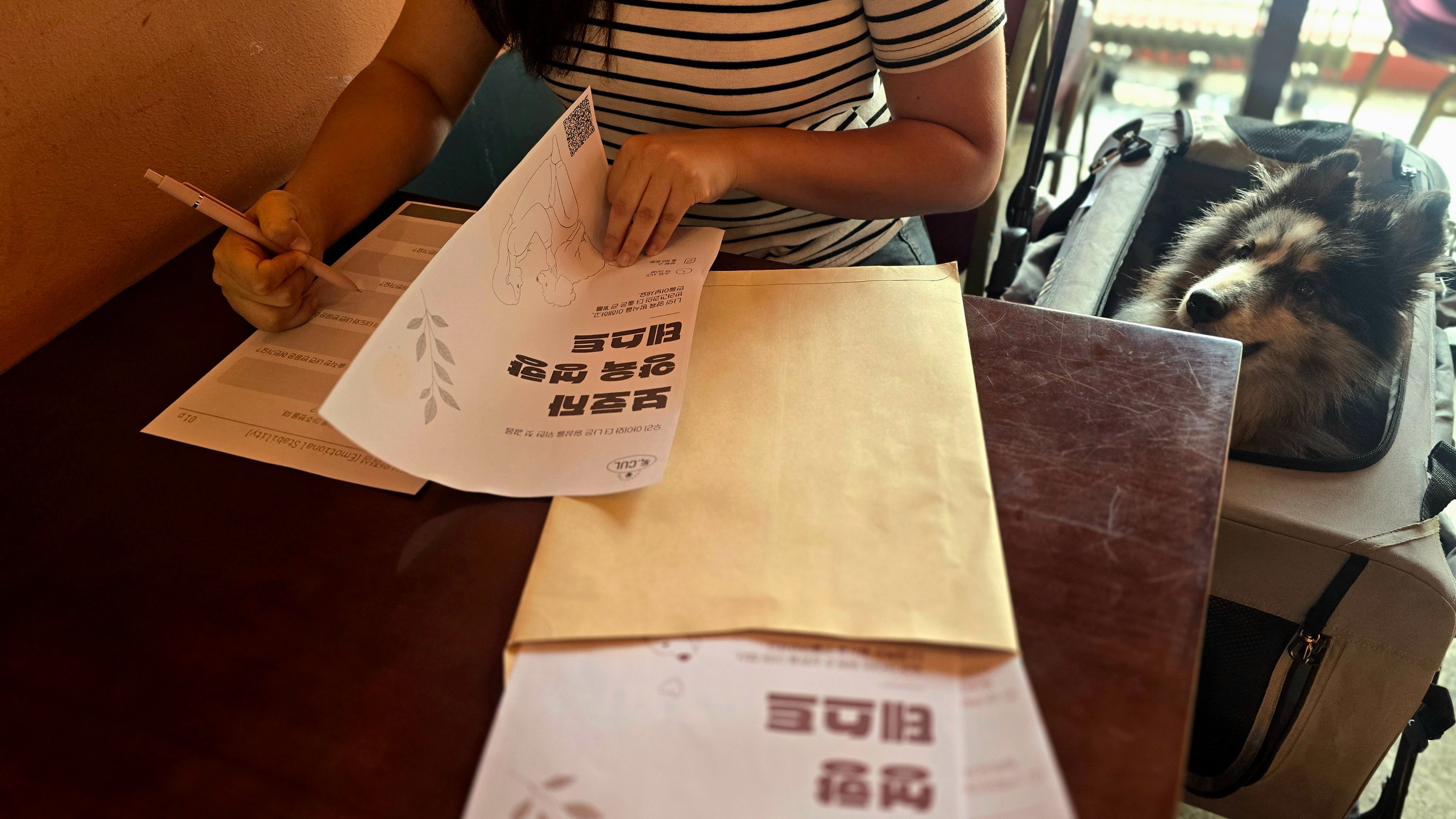 나와 반려견을 위한 전문 성향 진단 및 컨설팅